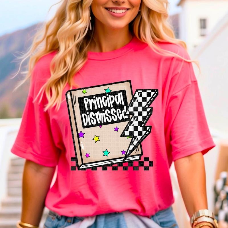 Principal Book DTF Transfers - THIS IS NOT A SHIRT Hoodie, Sweatshirt | HypeCrazeTee.com