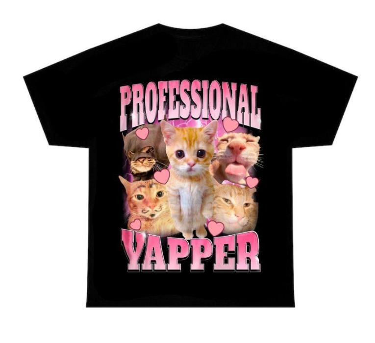 Professional Yapper Shirt, Funny cat tee, Cute graphic tees Classic Cotton Hoodie, Sweatshirt | HypeCrazeTee.com