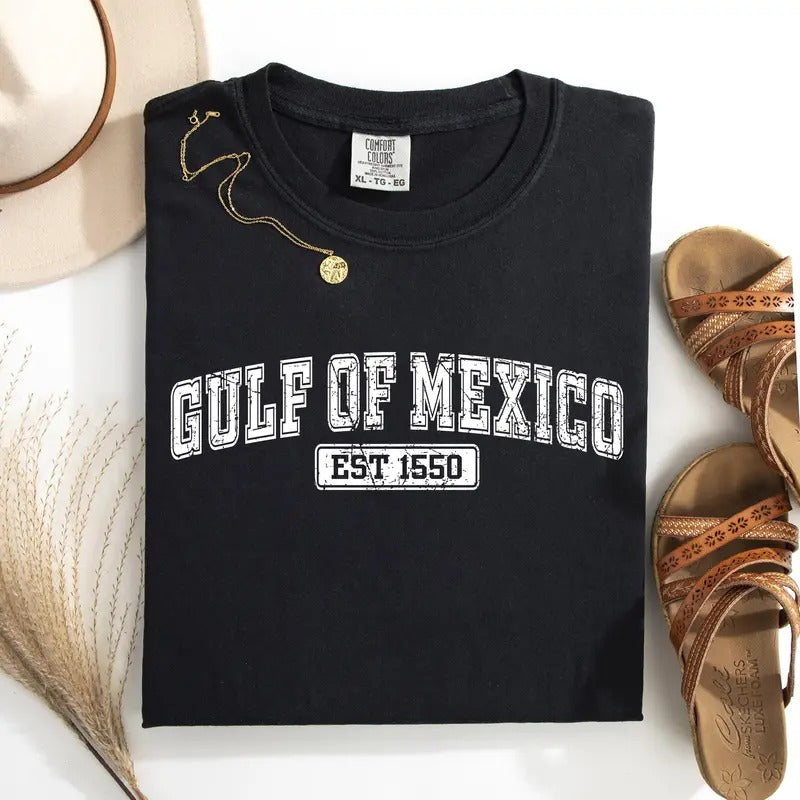 Retro Gulf Of Mexico, Varsity, Vintage, Established 1550 Tshirt, Women's Comfort Colors Tee Hoodie, Sweatshirt