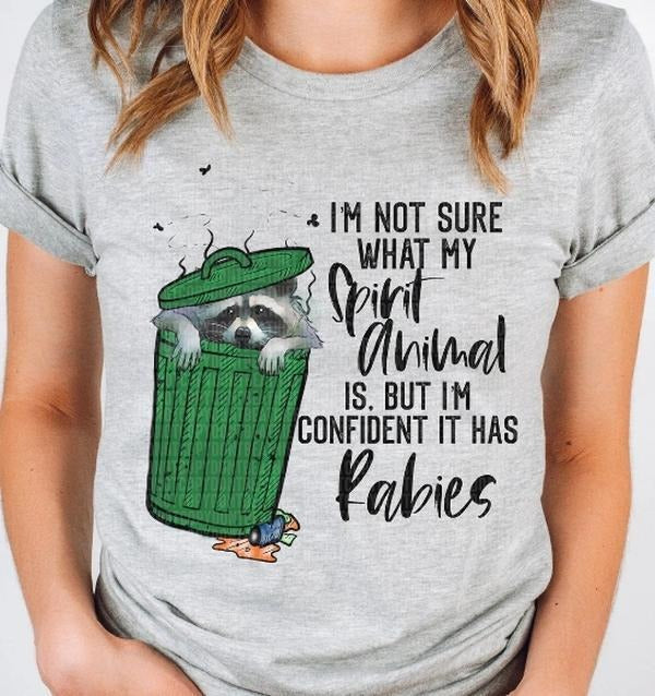 Spirit Animal Has Rabies Raccoon DTF Transfers - THIS IS NOT A SHIRT Hoodie, Sweatshirt | HypeCrazeTee.com
