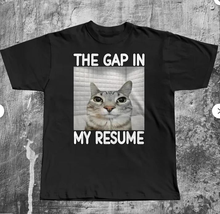 The Gap In My Resume Funny Dank Meme T-shirt, Cat Lover Gifts, Unhinged Clothes, Brainrot Shirt, Stupid Shirts, Silly...