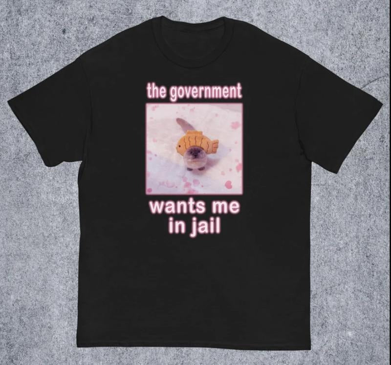 The Government Wants Me in Jail Funny Cat Meme T-shirt Hoodie, Sweatshirt | HypeCrazeTee.com