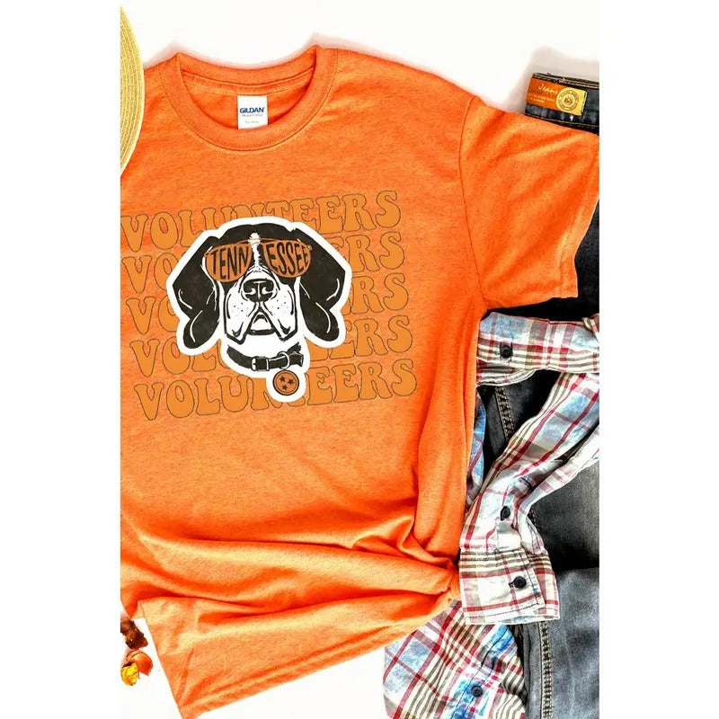 Too Cool Tennessee Short Sleeve Relaxed Fit T-Shirt Hoodie, Sweatshirt | HypeCrazeTee.com