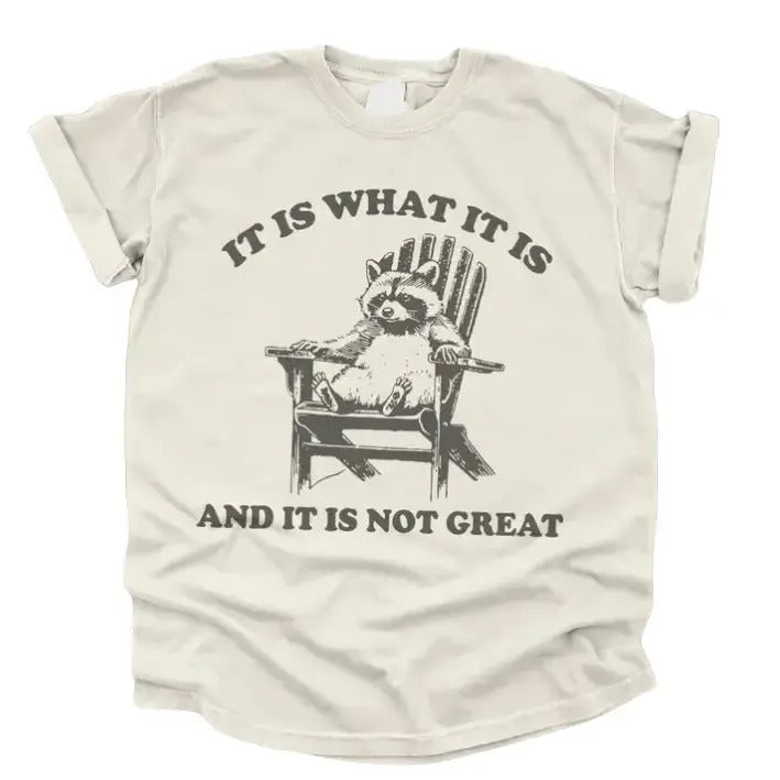 Vintage 90s Funny Racoon TShirt, Meme Shirt Classic Cotton Hoodie, Sweatshirt | HypeCrazeTee.com