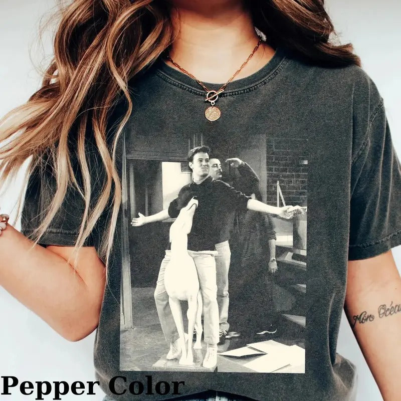 Vintage Chandler Bing and Joey Tribbiani Funny Graphic Tee - Friends Sitcom Shirt - Movie Shirt - Christmas Gift for...