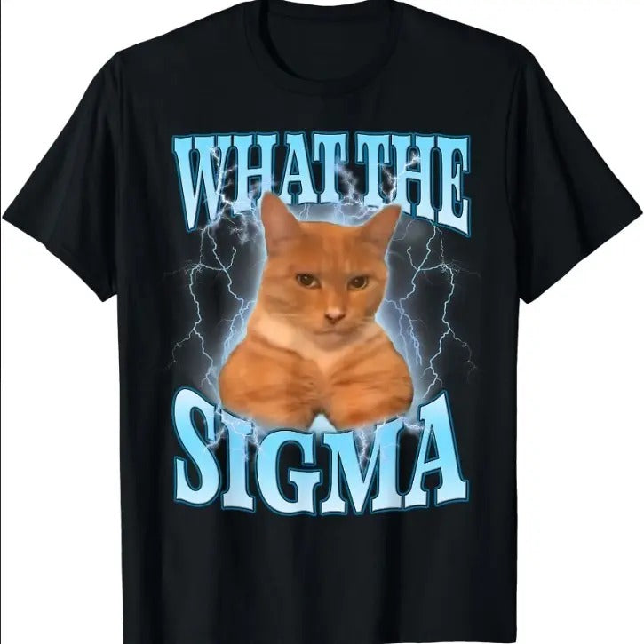 What The Sigma Meme Cat Ironic Brainrot T-Shirt Hoodie, Sweatshirt | HypeCrazeTee.com