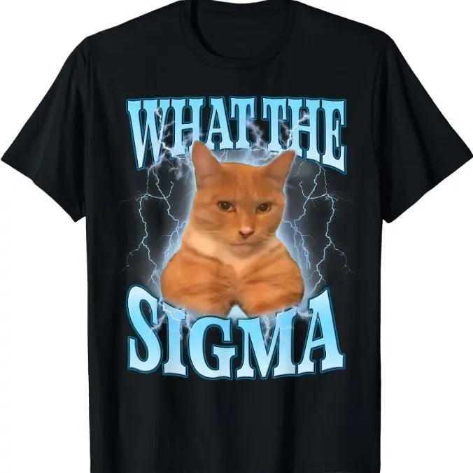 What The Sigma Meme Cat Ironic Brainrot T-Shirtstyle{n002}2 T-Shirts, Hoodie, Sweatshirt | HypeCrazeTee.com