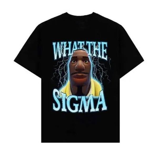 What The Sigma Meme Shirt Funny Gift Idea TShirt Hoodie, Sweatshirt | HypeCrazeTee.com