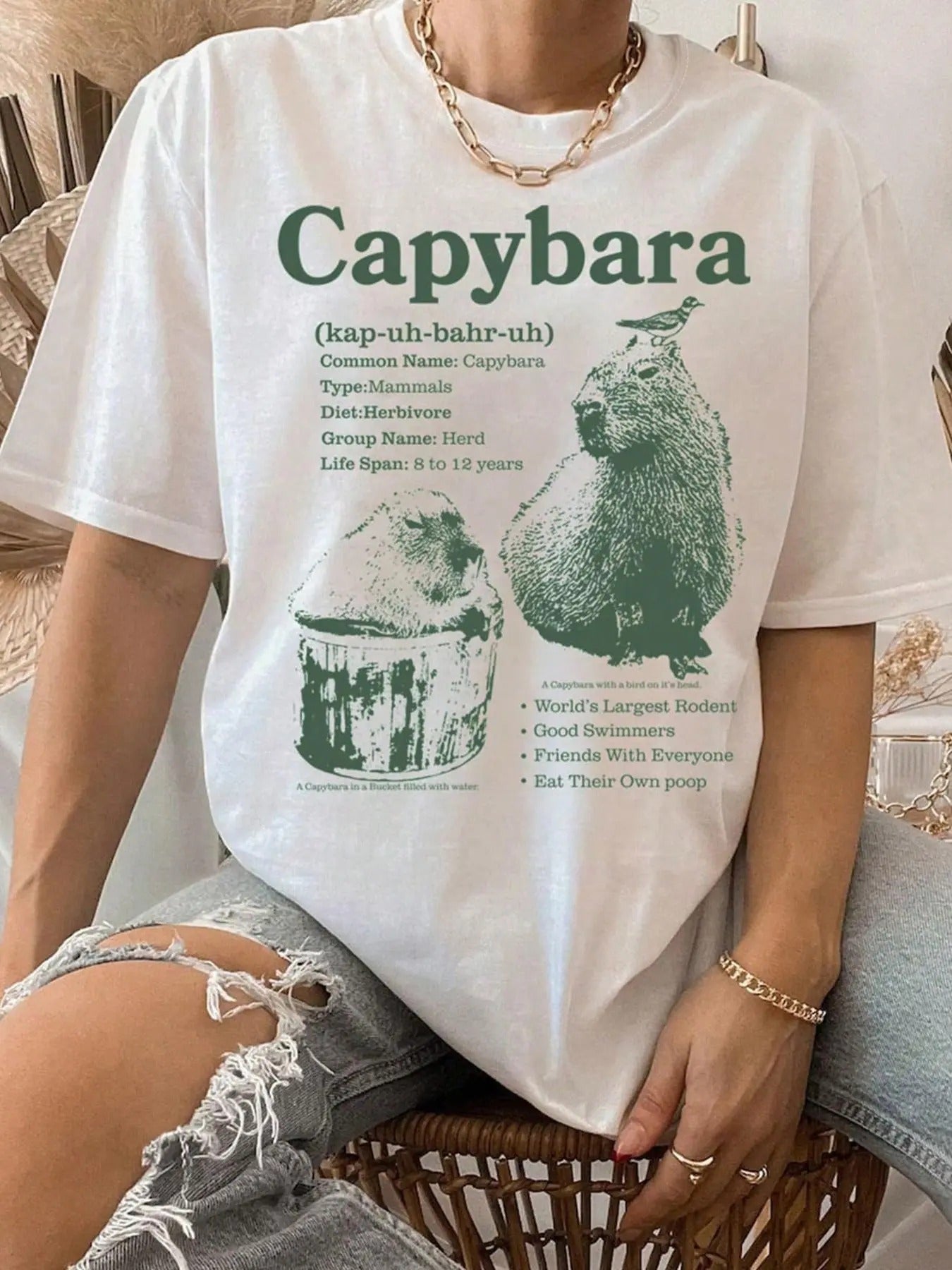 Women's Capybara & Letter Print Round Neck Tee, Fashion Casual Drop Shoulder Short Sleeve T-shirt for Daily Wear, Ladies...