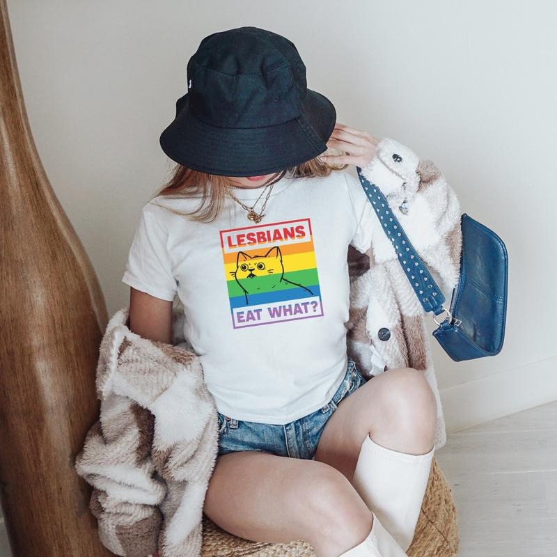 Y2K Baby Tee Clowncore Baby Tee Pride Baby Tee lgbt Queer Shirt Pride Month Shirt Bisexual Pride Crop Top Pansexual Baby...