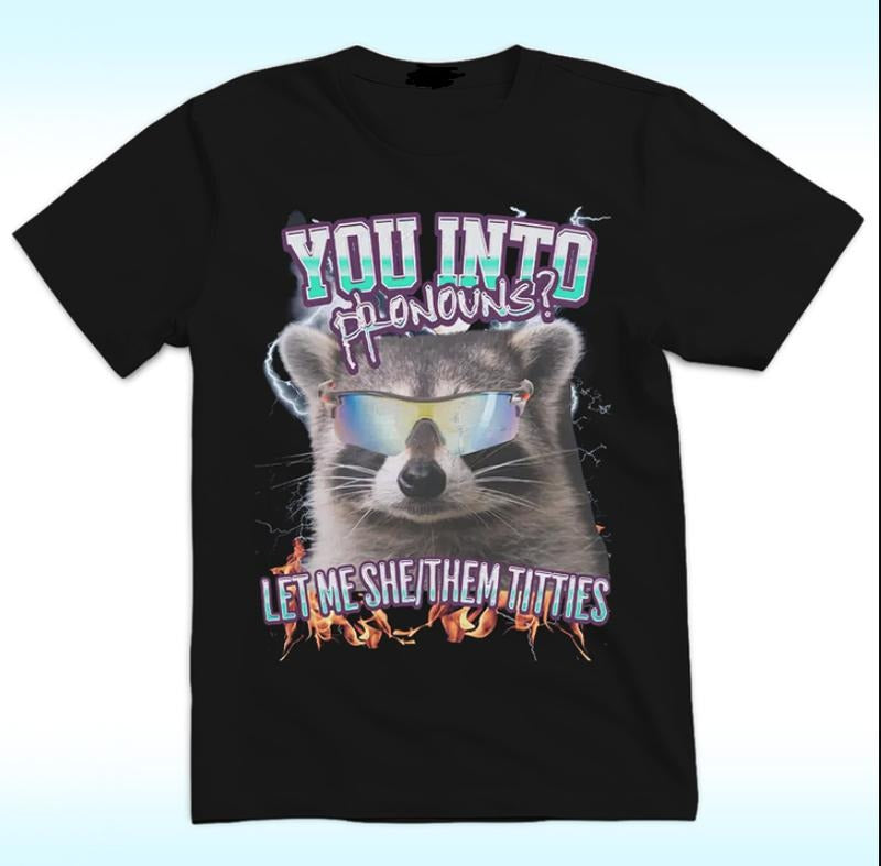 You Into Pronouns Shirt, Let Me She Hoodie, Sweatshirt | HypeCrazeTee.com