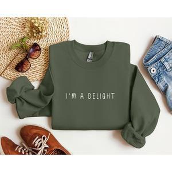 I'm A Delight Minimal Funny Sweatshirt, Sarcastic College Sweatshirt, Women's Crew Neck, Crewneck Casual Comfort Womenswear ComfortableÃ‚Â Graphic