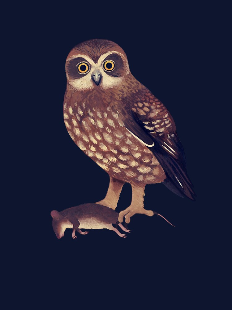 Southern Boobook owl by penfeather