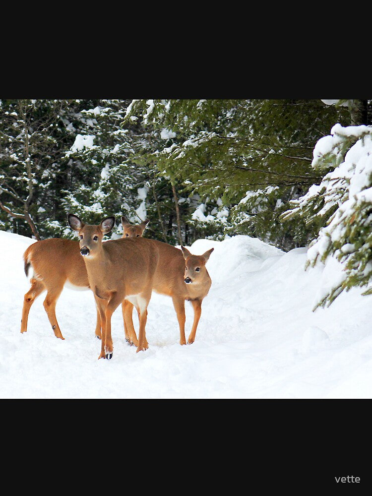 Beautiful Deer Foursome. by vette
