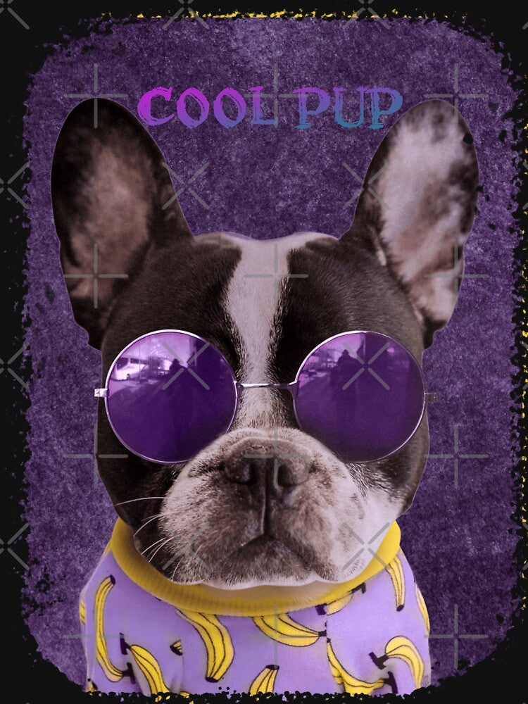 Cute Dog Wearing Sunglasses by Xhevahir