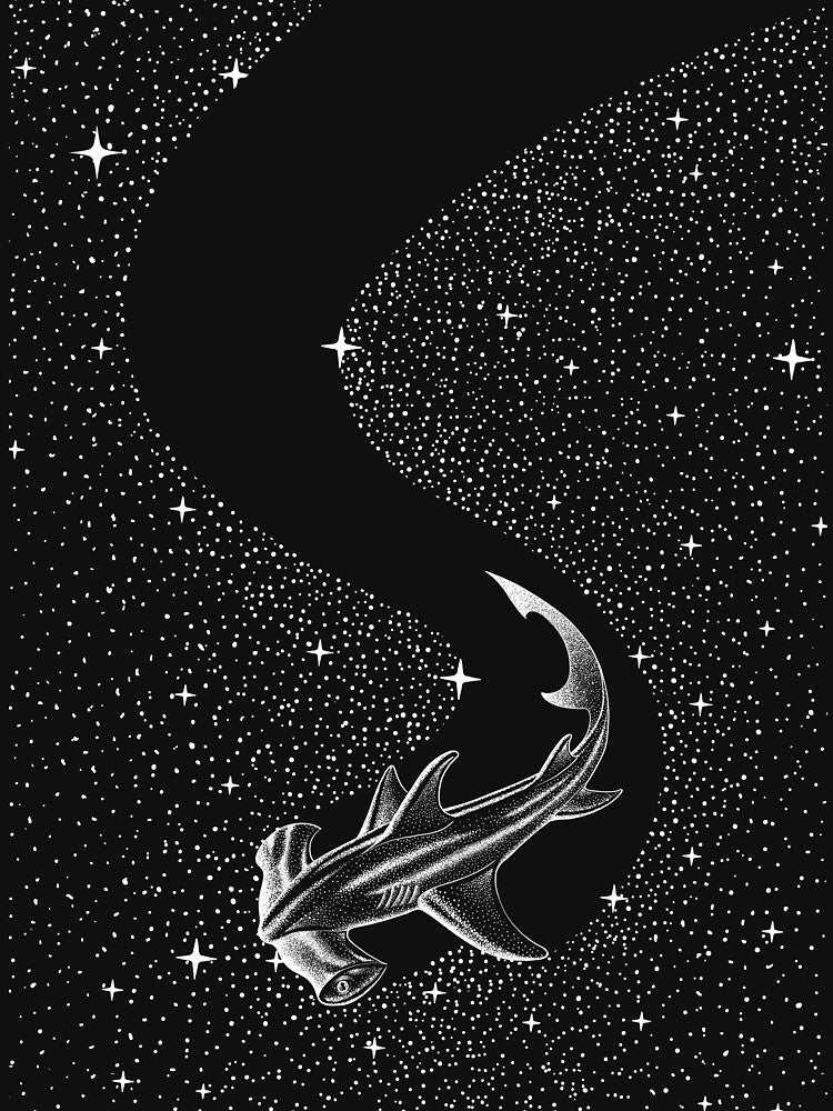 Starry Hammerhead by AlirizaCAKIR