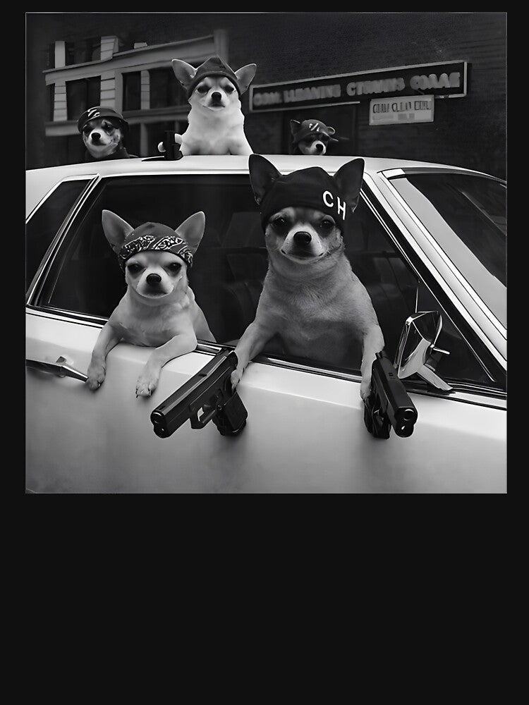 Funny Chihuahua Meme Chihuahua Gangster Dog Street by Joneneee