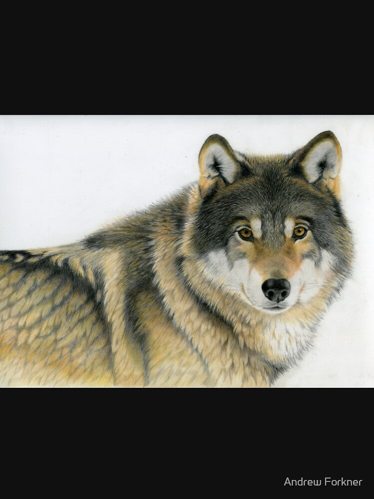 Grey Wolf by Andrew Forkner