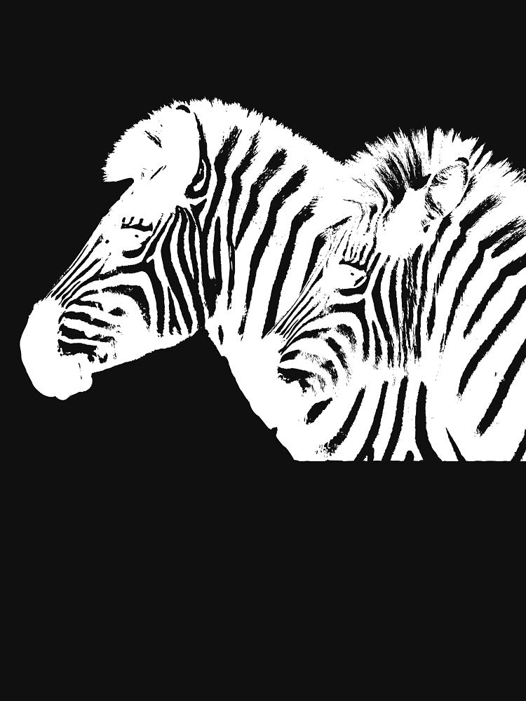 Zebra by thebrokendipper