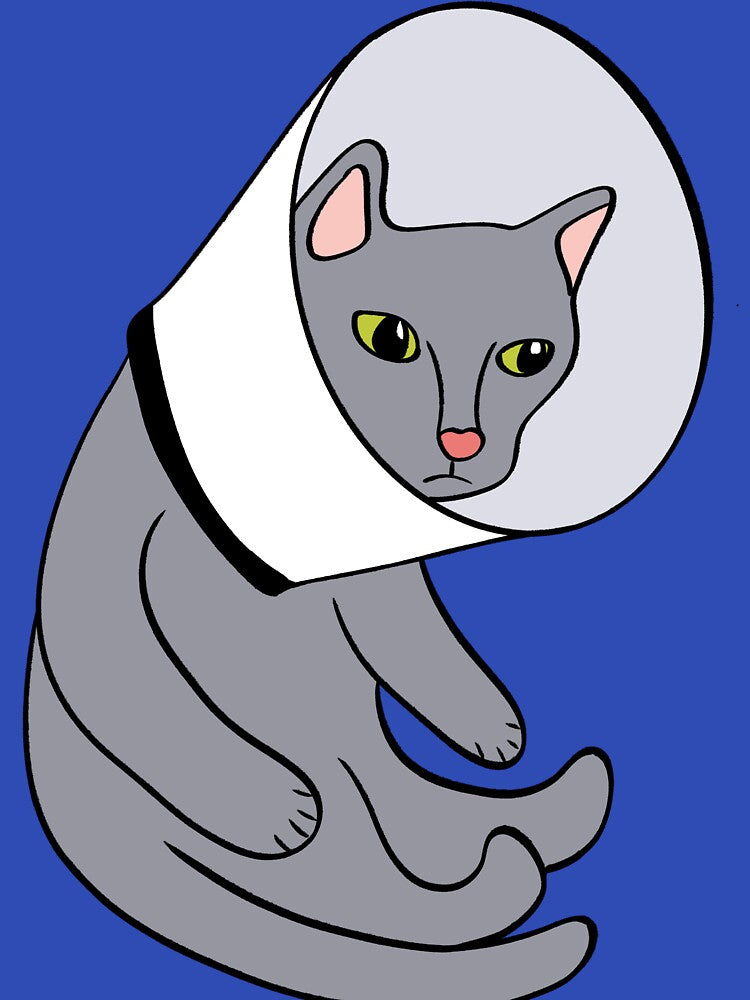 Cat in a Cone Collar by awkwarddesignco