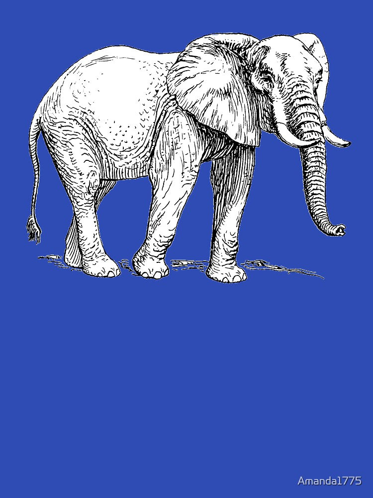African Elephant by Amanda1775