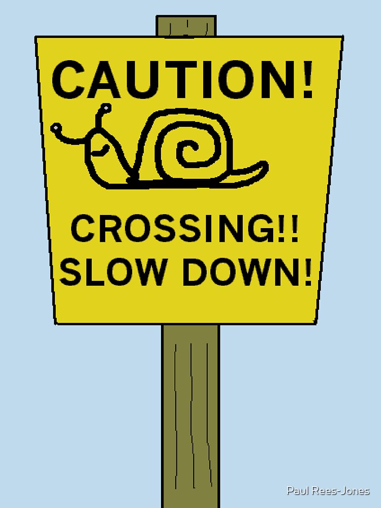 Snail Crossing by Paul Rees-Jones