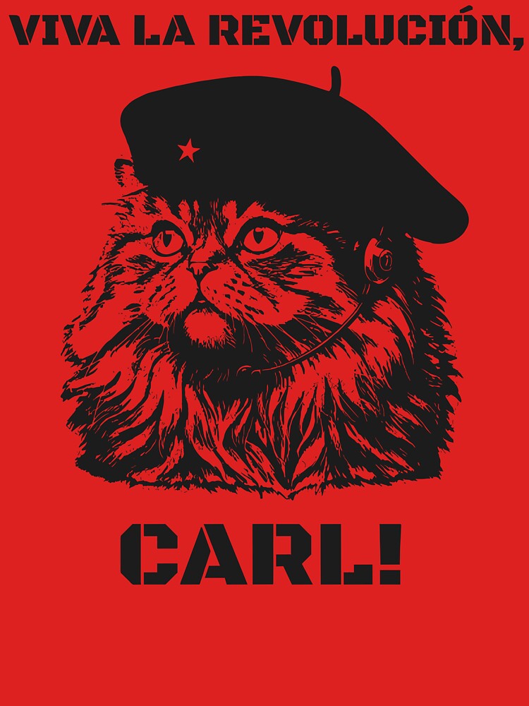 Viva La Revolucion Carl Dungeon Crawler Carl by dakshagirii