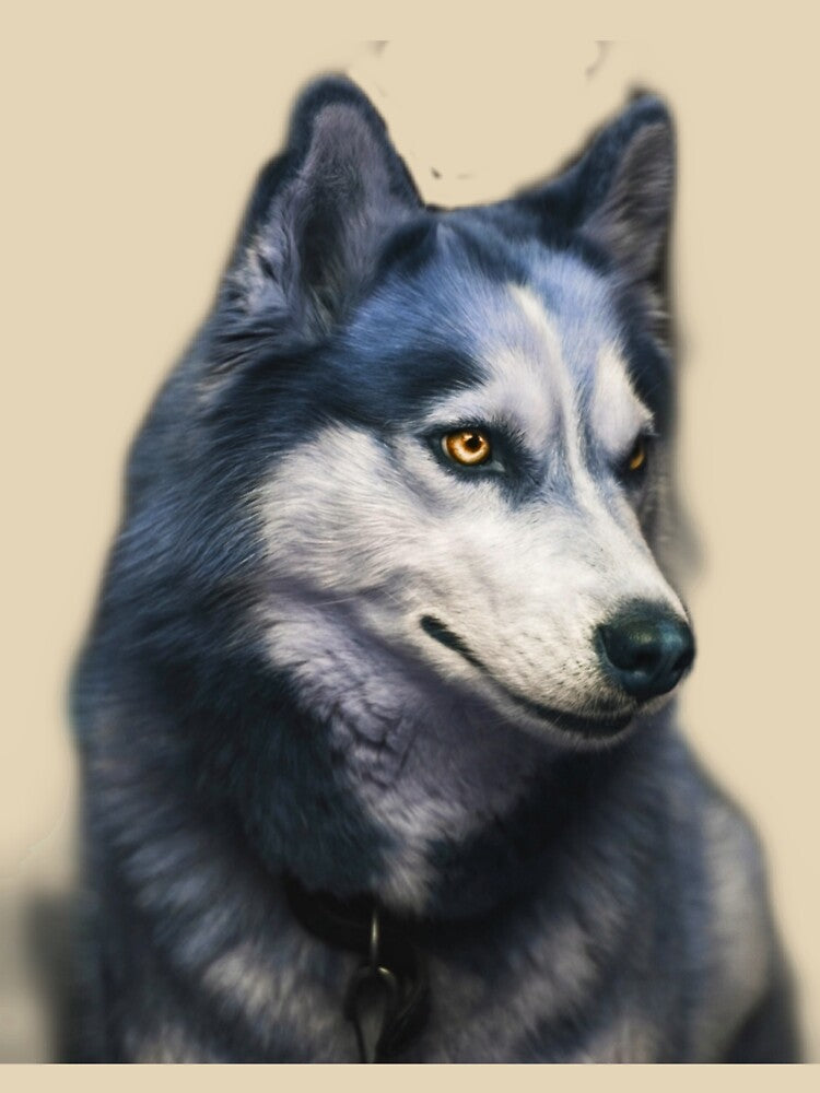 White wolf by Shamikh1w3