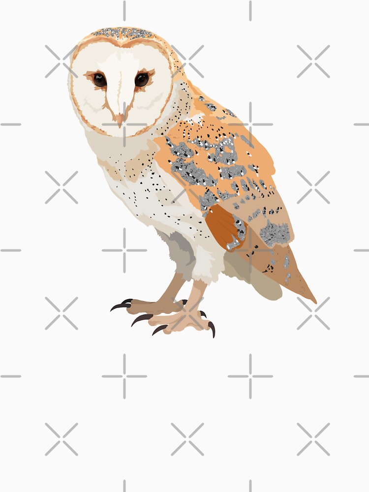 Barn Owl by birds-and-pizza