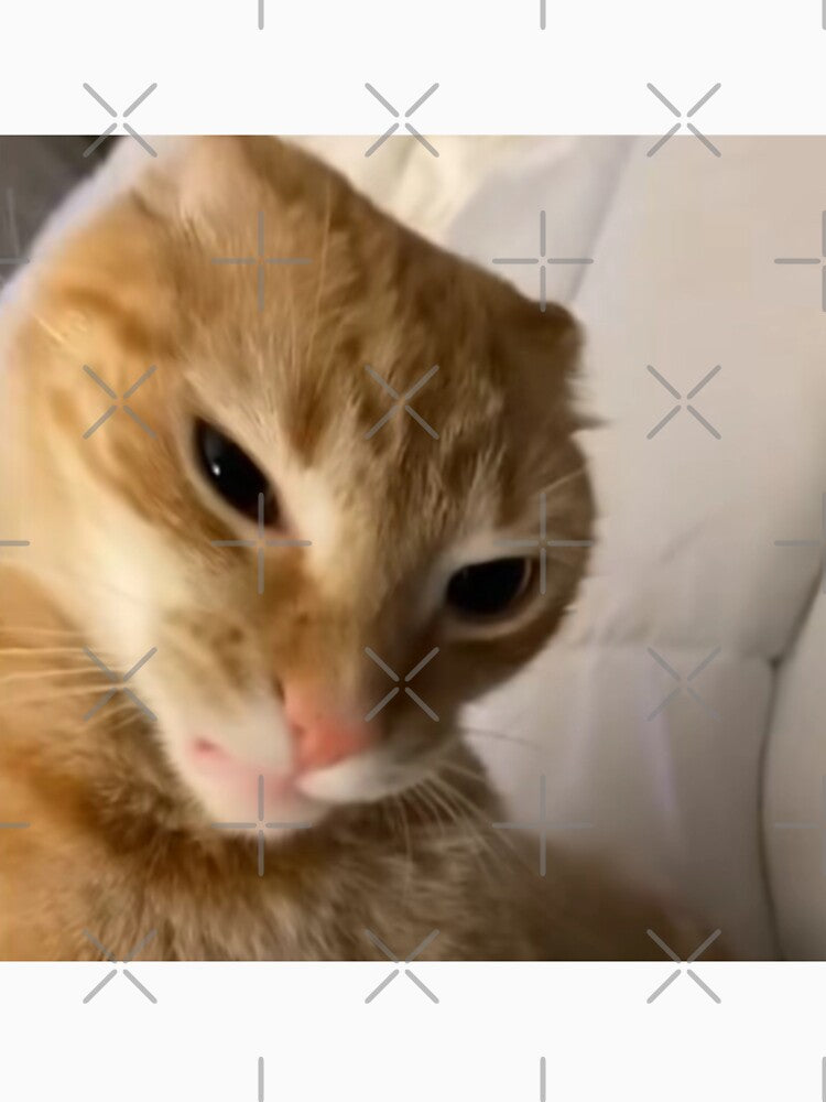 Angry orange cat meme by MARTBOMM
