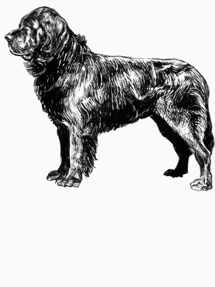 Newfoundland Gog by kattilako