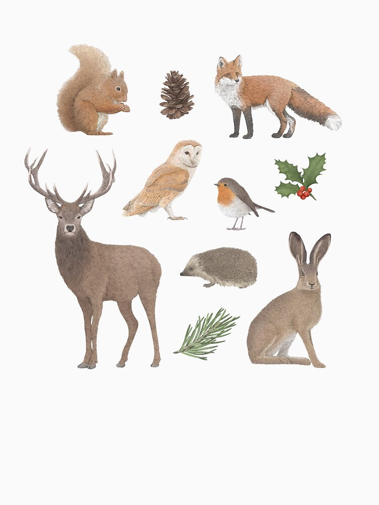 Christmas Wildlife Winter Animal Illustration by Lauren Fitton Illustration