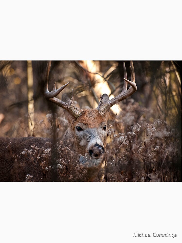 White-tailed Deer by Michael Cummings