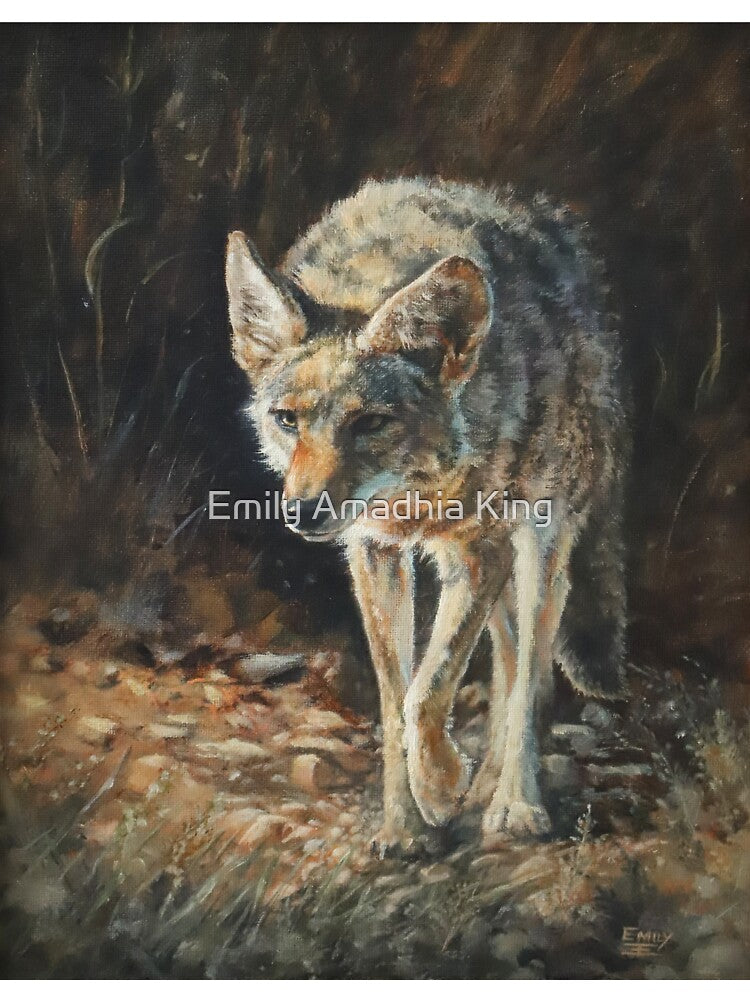 Coyote by Emily King Fine Art