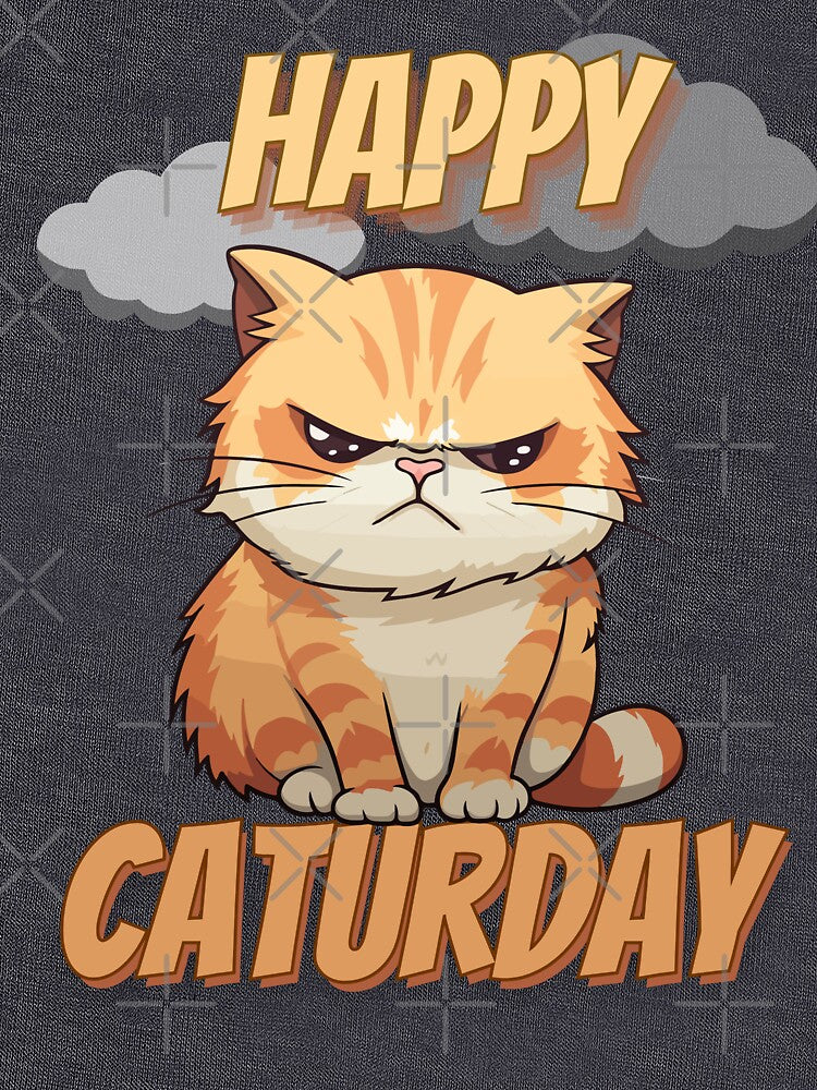 Happy Caturday Orange Cat by SorohanMedia