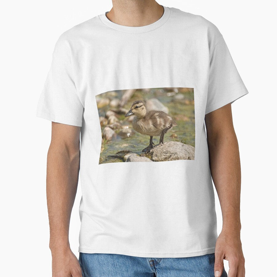 What's Quacking! by Tracey  Dryka