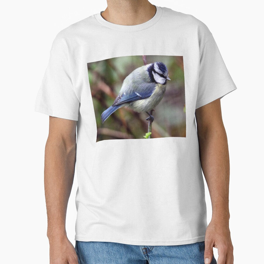 blue tit by KathleenDawson