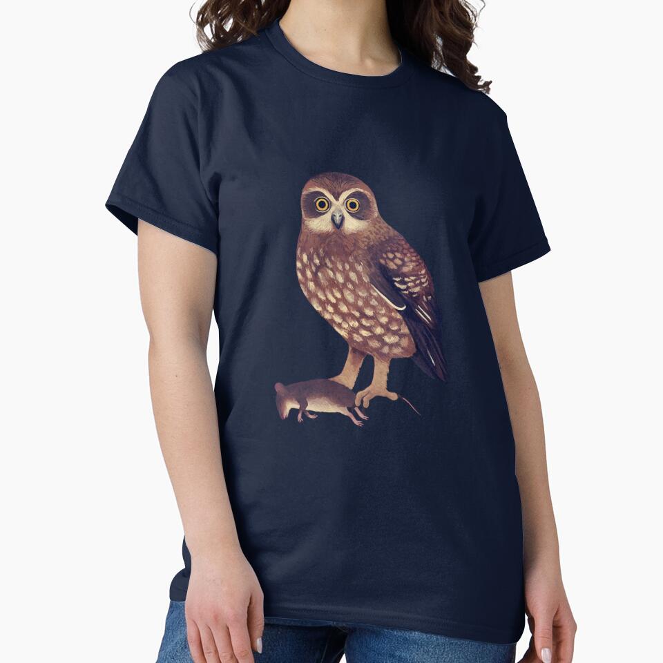 Southern Boobook owl by penfeather