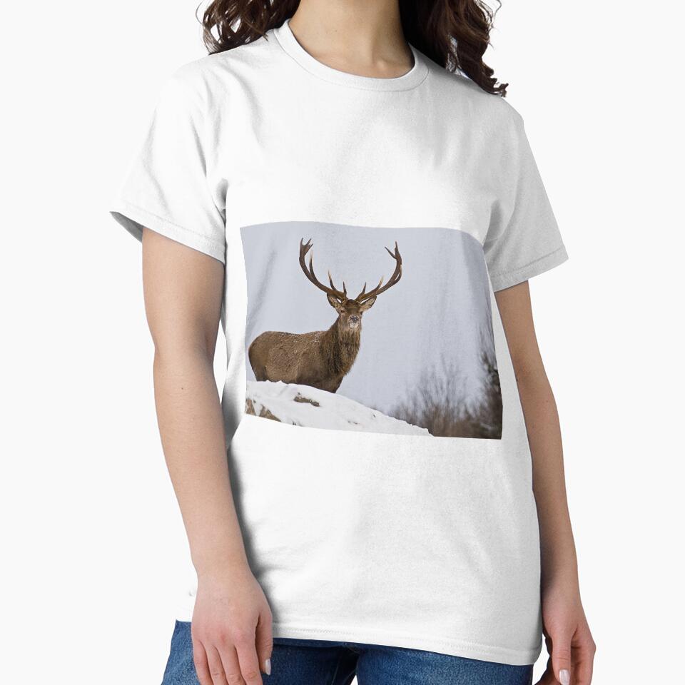 Elk On Hill by Michael Cummings