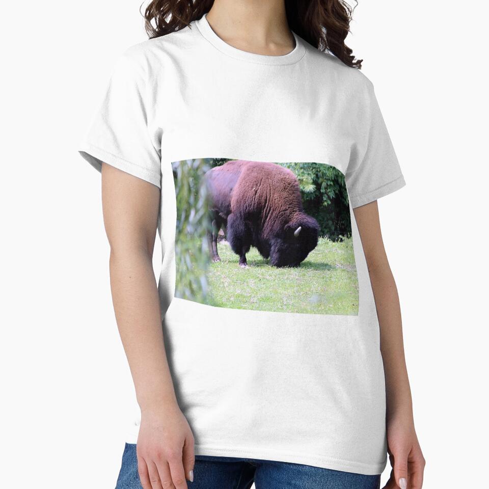 GRAZING BISON by BOLLA67