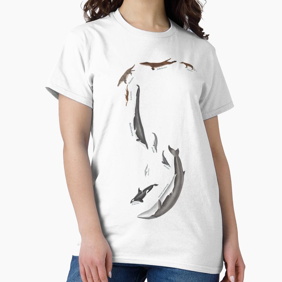 Whale evolution - prehistoric and modern whales by synapsid