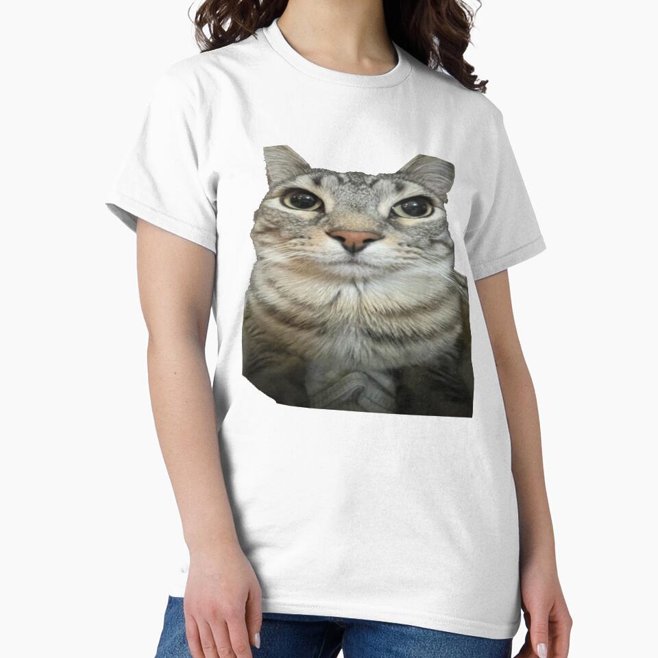 cat looking directly at you png by Greg Heffley