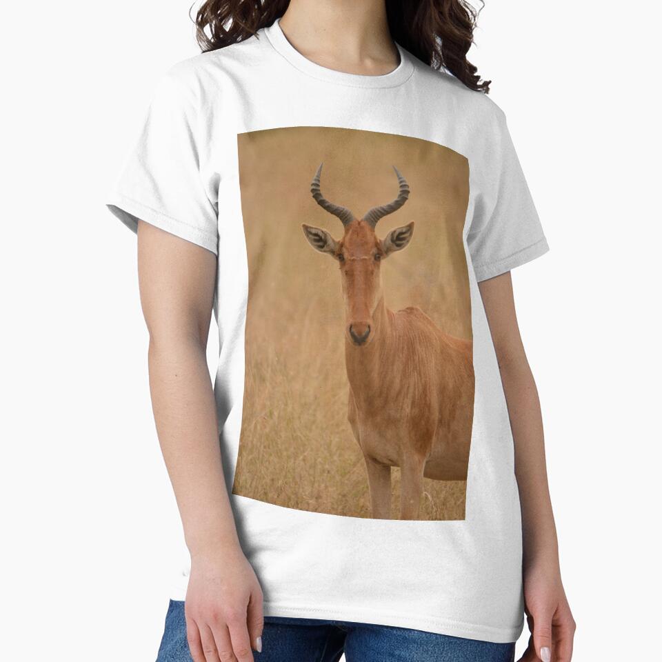 Hartebeest by Barny  Martin