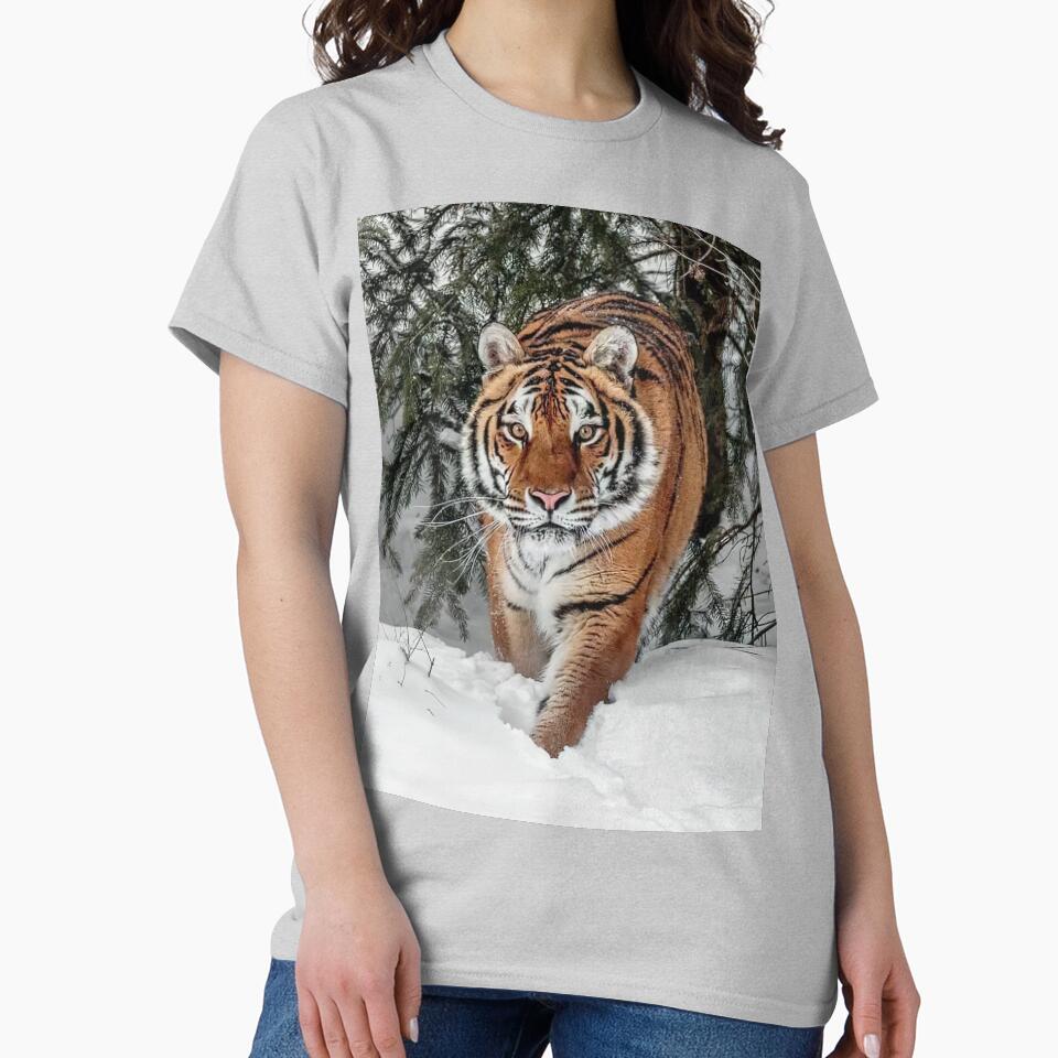 Siberian Amur Tiger by MorningFive