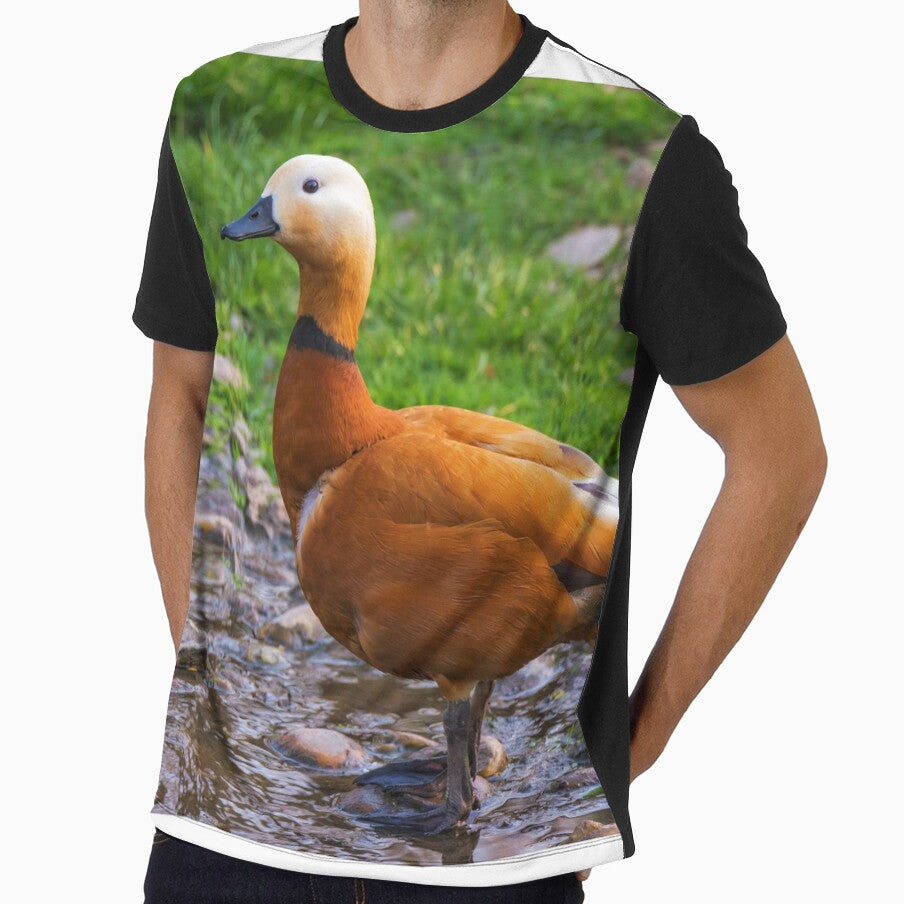 The wild goose by the water, photography design by DegoPine  Art Studio