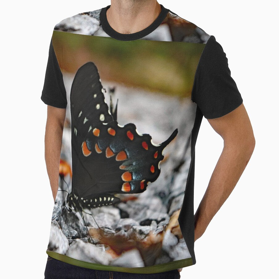 Swallowtail Butterfly by Jennifer Leonard