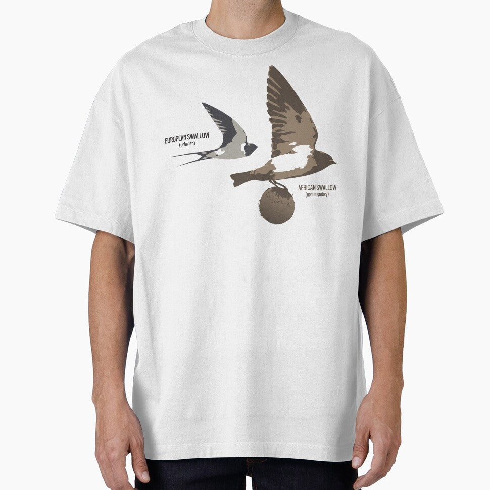 European and African Swallow by Expressman