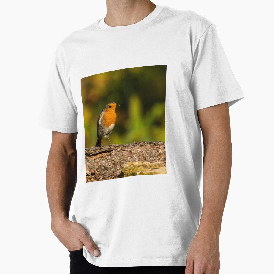 Perched Robin by JackBranscombe